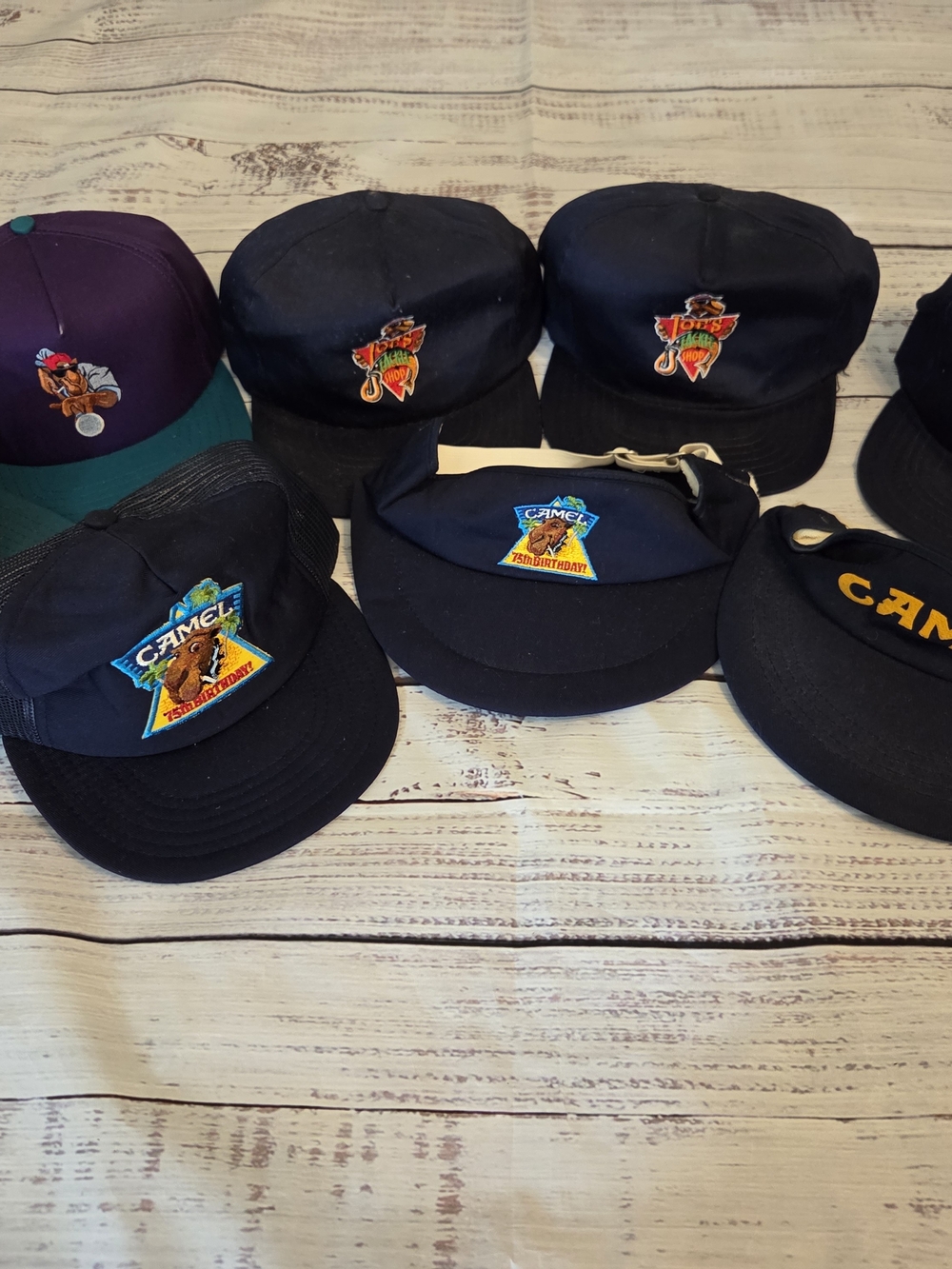 Joe Camel Hats & Visors